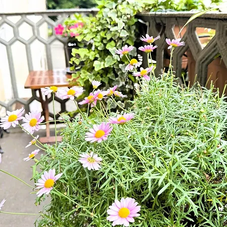 Διαμέρισμα La Casa Di Ringhiera - Silenzioso Di Charme Con Balcone Nel Quadrilatero Τορίνο