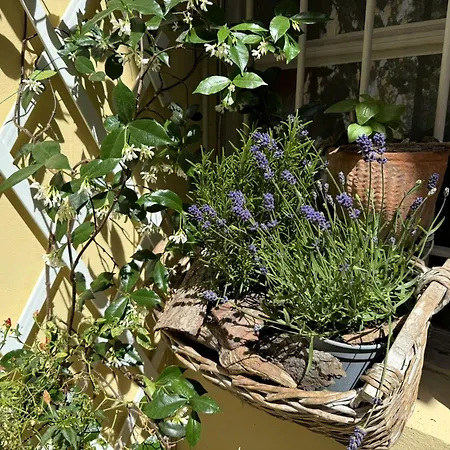 La Casa Di Ringhiera - Silenzioso Di Charme Con Balcone Nel Quadrilatero * Torino