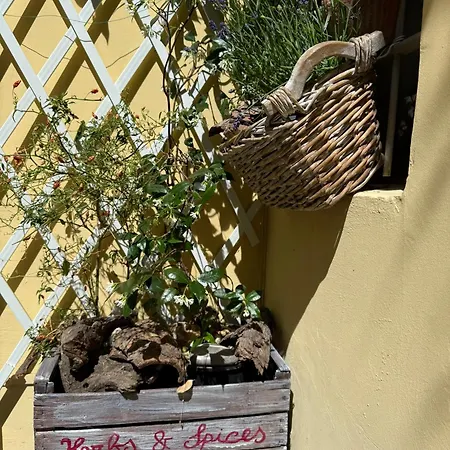 Διαμέρισμα La Casa Di Ringhiera - Silenzioso Di Charme Con Balcone Nel Quadrilatero