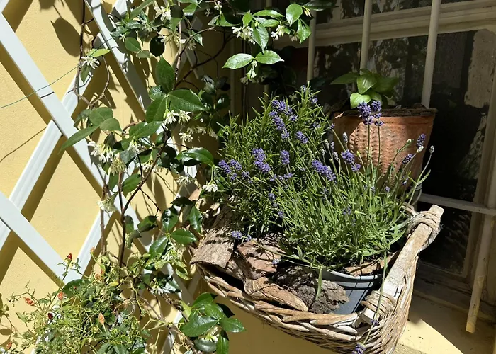 La Casa Di Ringhiera - Silenzioso Di Charme Con Balcone Nel Quadrilatero * Turín