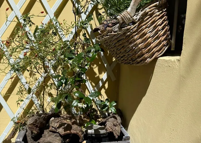 Apartmán La Casa Di Ringhiera - Silenzioso Di Charme Con Balcone Nel Quadrilatero